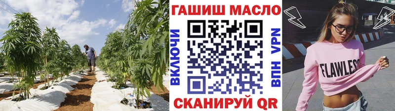 площадка какой сайт  Кудрово  ТГК вейп с тгк  магазин продажи  